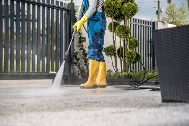 Best Best Pressure Washing Companies  in Mason, MI